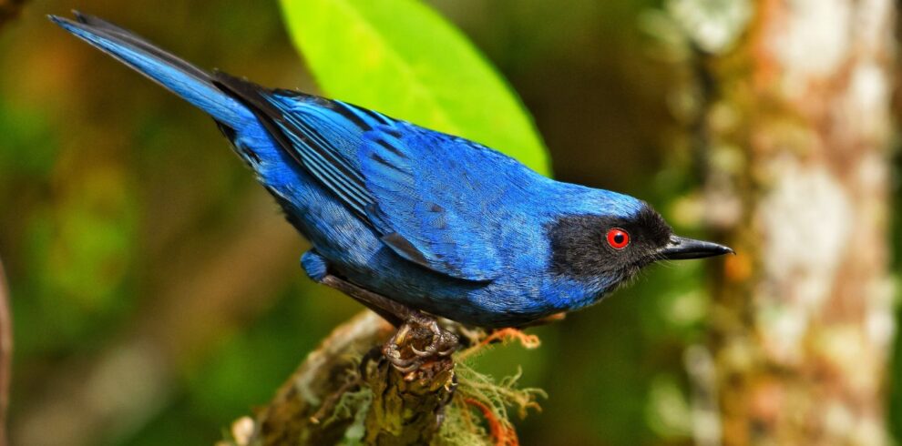 Crema Marrón Fotográfico Belleza Plataforma Lanzamiento Sitio Web (21)