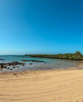 Galápagos Islands